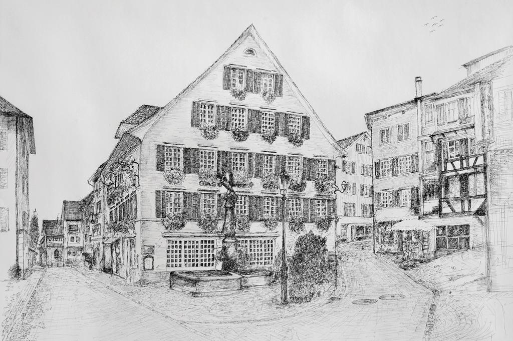 Romantik Hotel Schwan Horgen Exterior photo