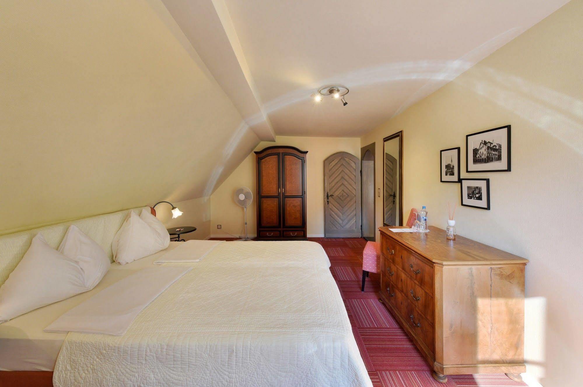 Romantik Hotel Schwan Horgen Exterior photo